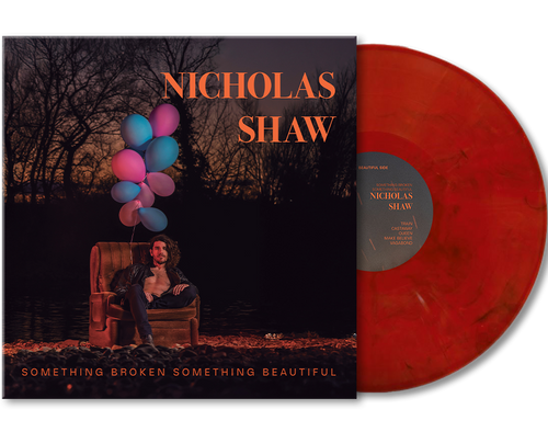 Something Broken Something Beautiful VINYL