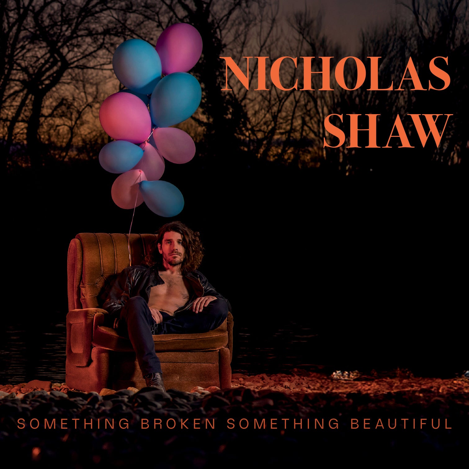 Something Broken Something Beautiful CD