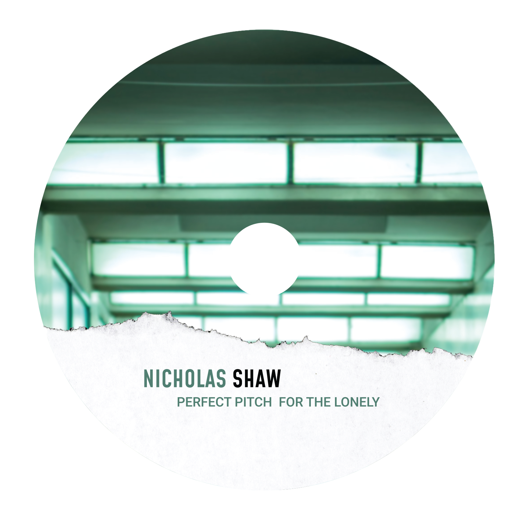 Perfect Pitch For The Lonely CD